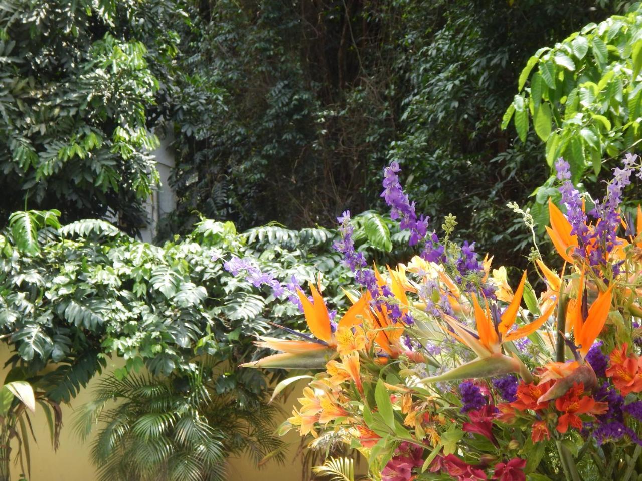 Casa Sao Conrado Rio de Janeiro